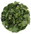 Moringa Leaf | [한국산] 모링가잎