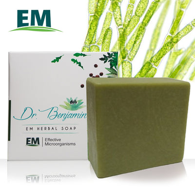 EM Chlorella Dr. Benjamin Handmade Soap | 클로렐라 한방 EM 비누