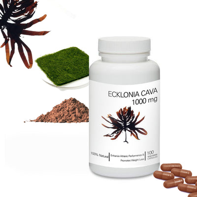 Prince 100% Pure Natural - Ecklonia Cava Powder Capsules | 프린스 감태 분말 캡슐
