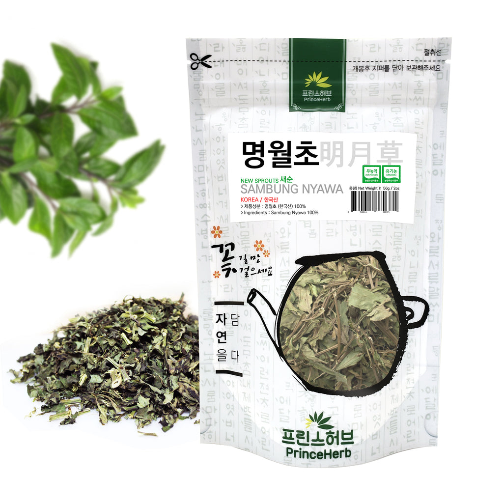 Sambung Nyawa ( New Sprouts ) | [한국산] 명월초 (당뇨초,삼붕초) 새순