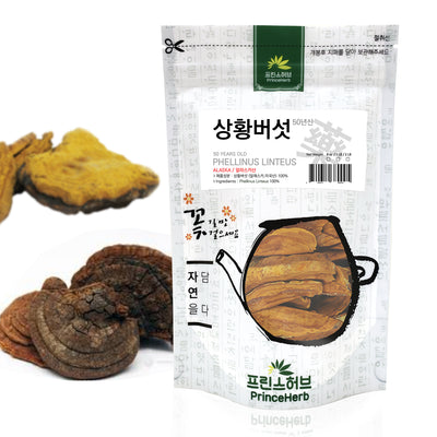 Phellinus linteus (50 year old) | [알라스카산]  상황버섯 (50년산)