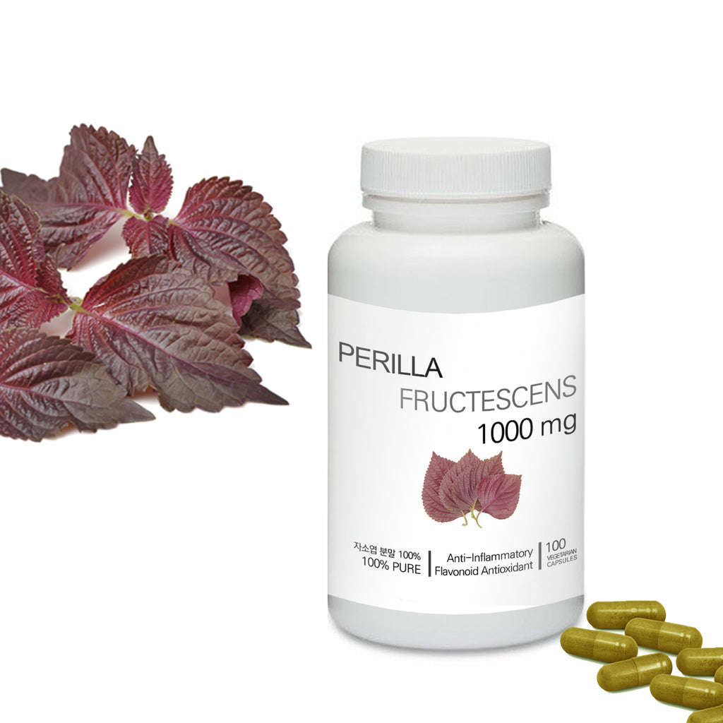 Prince 100% Pure Natural - Perilla Frutescens (Perillae Folium) Powder Capsules | 프린스 자소엽 (차조기) 캡슐