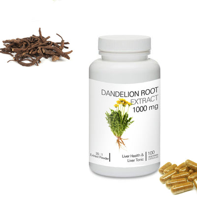 Prince 100% Pure Natural - Dandelion Root 20:1 Extract Powder Capsules | 프린스 민들레 뿌리 20:1 추출물 분말 캡슐