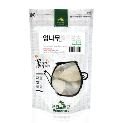 Kalopanax Septemlobus | [한국산] 엄나무 (음나무)