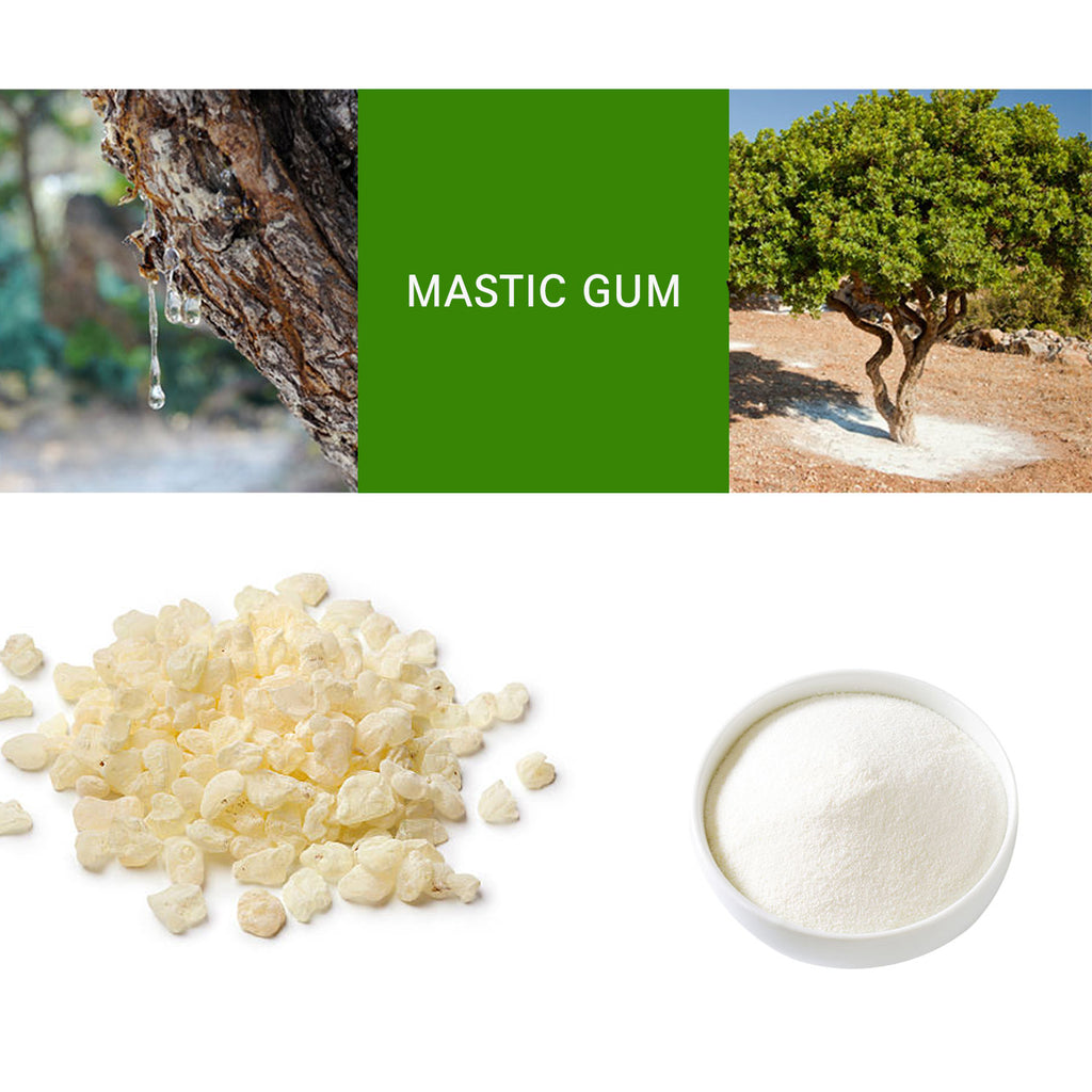 100% Natural Mastic Gum Powder | [수입산] 매스틱 분말