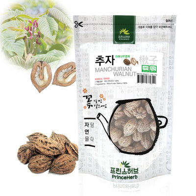 Juglans Mandshurica / Manchurian Walnut | [한국산] 가래나무열매 / 추자