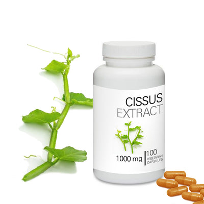 Prince Natural Cissus Quadrangularis Powder Capsules | 프린스 시서스 추출물 캡슐
