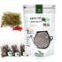 Artemisia Annua (Sweet Wormwood) Teabag Tea | [한국산] 개똥쑥차 티백