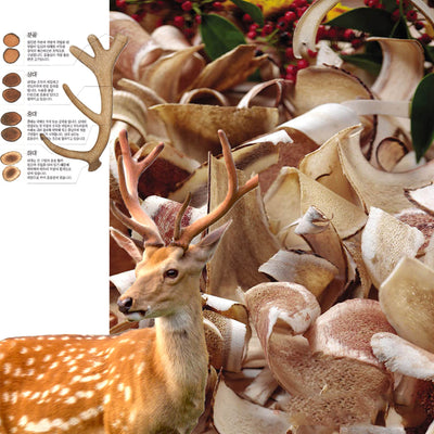 Deer Antler (Russia) 500g | [러시아산] 녹각 500g