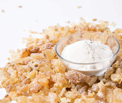 Prince Natural Boswellia Serrata Extract Powder / 90% Boswellic Acid | 프린스 보스웰리아 추출물 분말