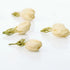 [ GRADE A ] Jasmine Flower Tea - Bulk | [수입산] 자스민꽃차
