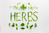 Herb Sample | 약초샘플